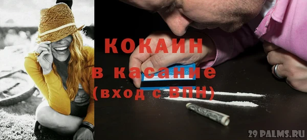 PSILOCYBIN Алзамай