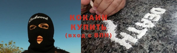 дживик Алексин