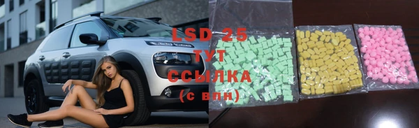 PSILOCYBIN Алзамай