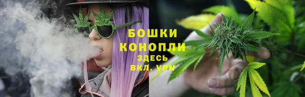 PSILOCYBIN Алзамай