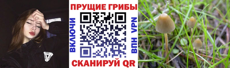 нарко площадка телеграм  Дыгулыбгей  Псилоцибиновые грибы мухоморы 
